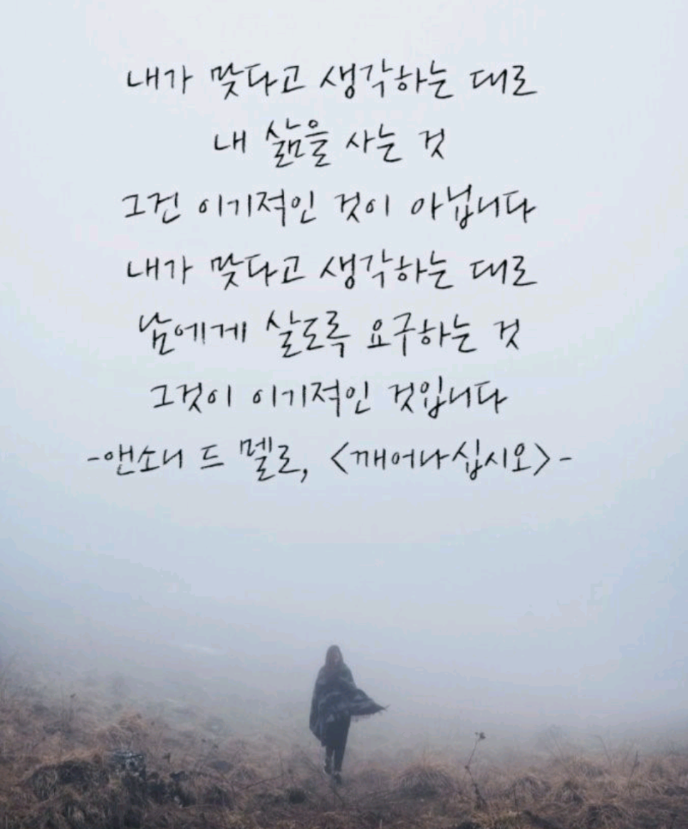 양양오색한과 이미지