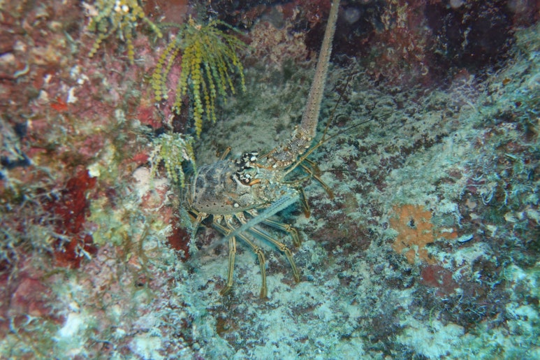 블루홀(BLUE HOLE) 이미지