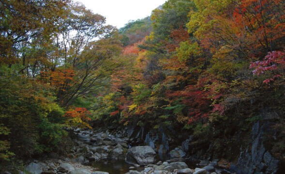 세명여행사 이미지