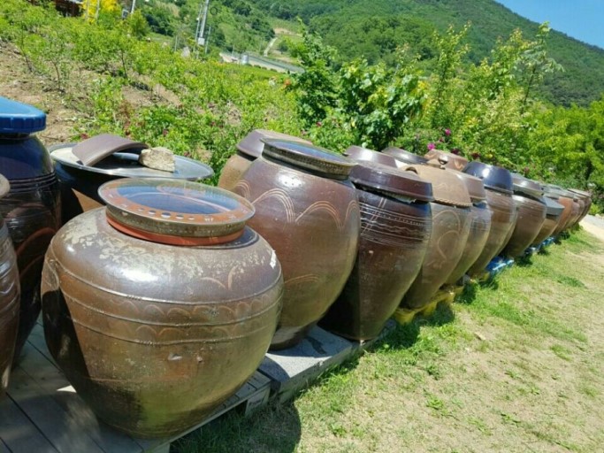 해피클린 이미지