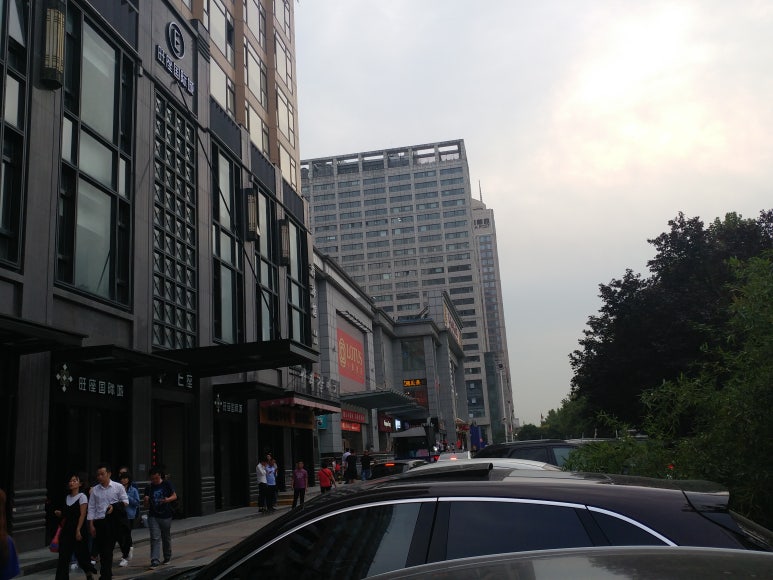 서래갈매기 이미지
