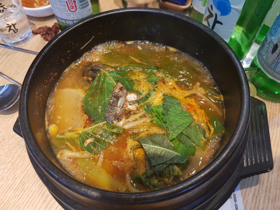 청춘회물회 이미지
