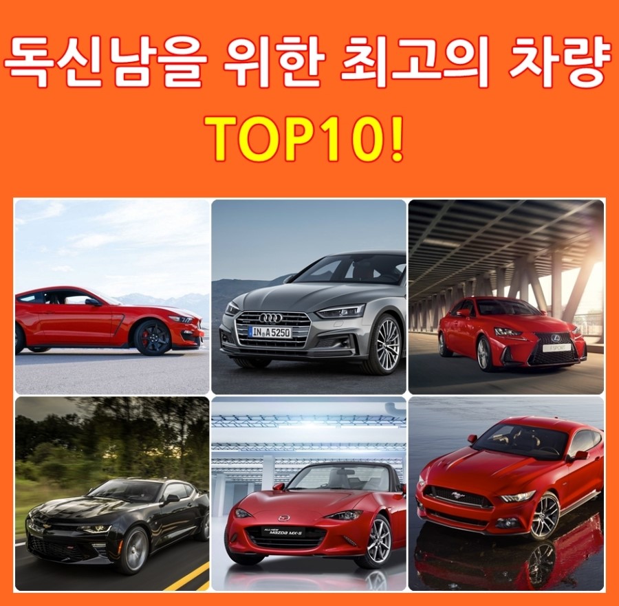 독신남 이미지
