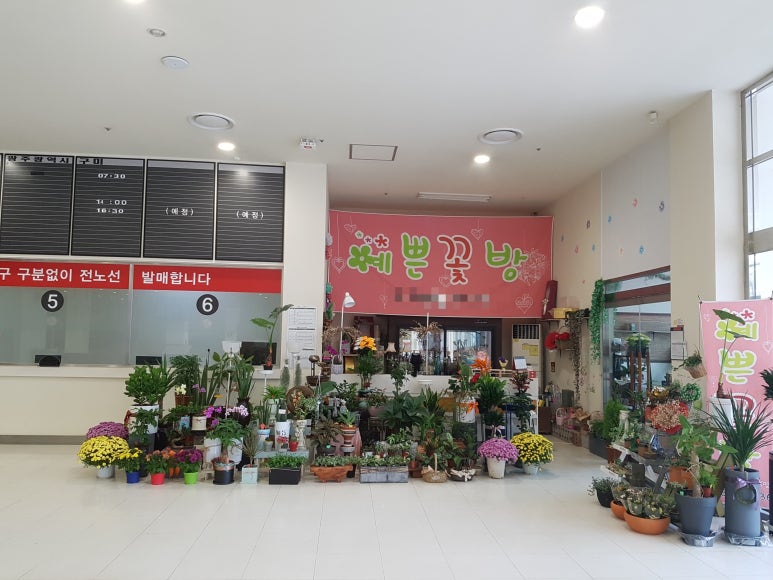예쁜꽃방 이미지