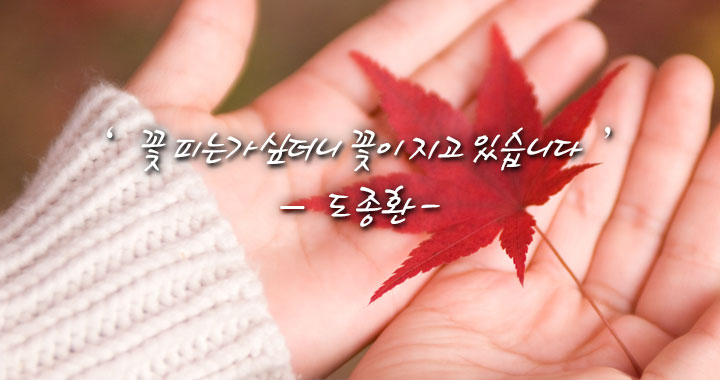 닥터크리닝 이미지
