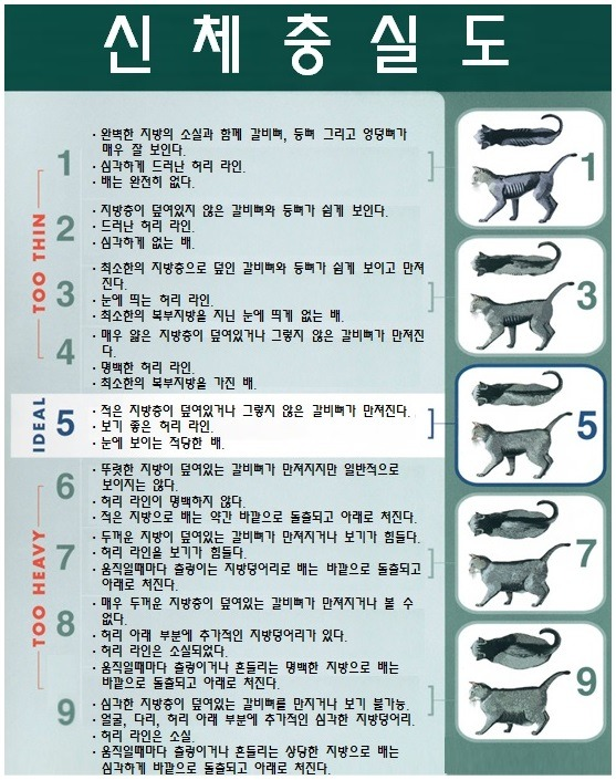 달렉스 이미지