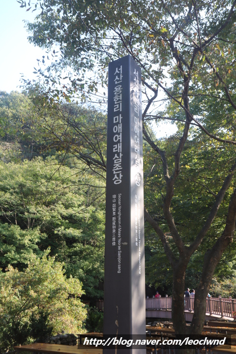 성환상회 이미지