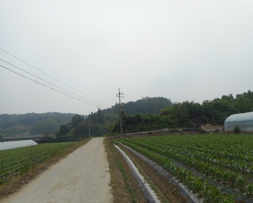 이담리 이미지