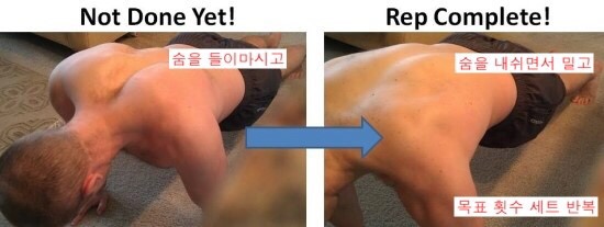 레이짐 이미지