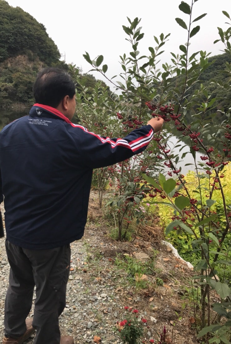 연곡호수팬션 이미지