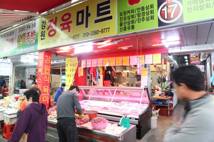 강원정육 이미지