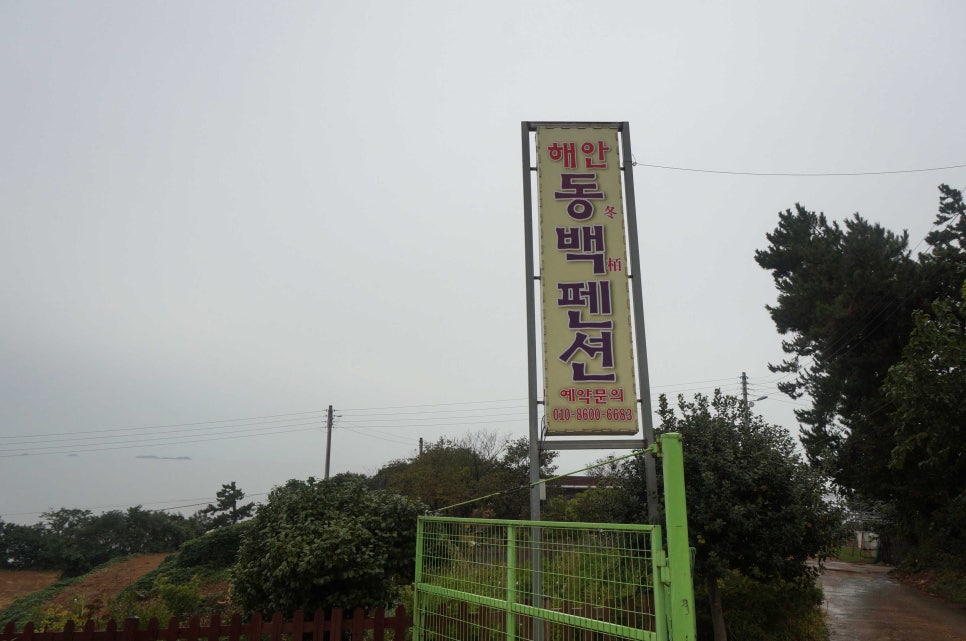 해안동백펜션 이미지