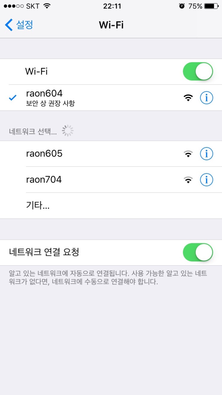 라온(RAON) 이미지