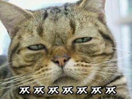 여기다양꼬치 이미지