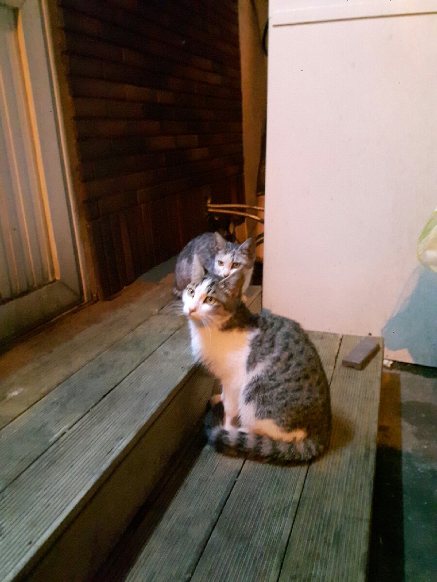 함덕조아 이미지