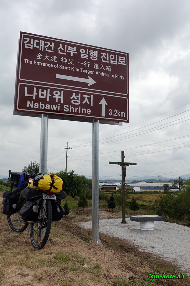 토박이젖갈 이미지