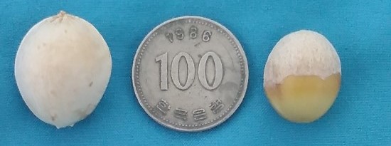 철이네농원 이미지