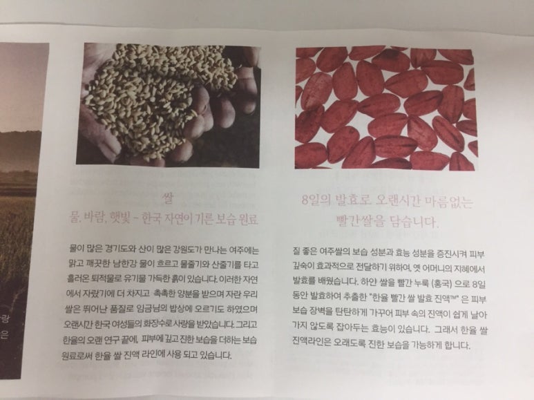 상분이스킨 이미지