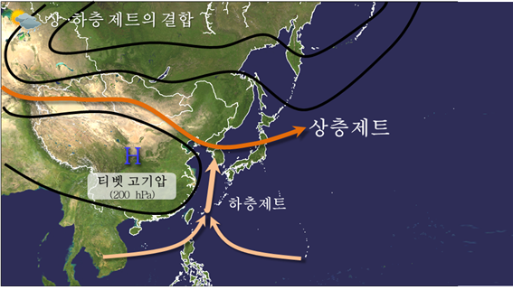 비제트이 이미지