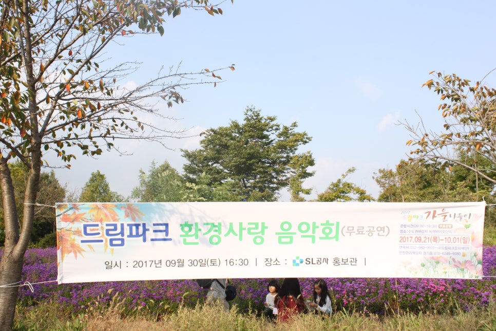 선율드림 이미지