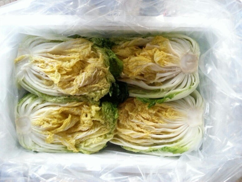 횡성맛김치 이미지