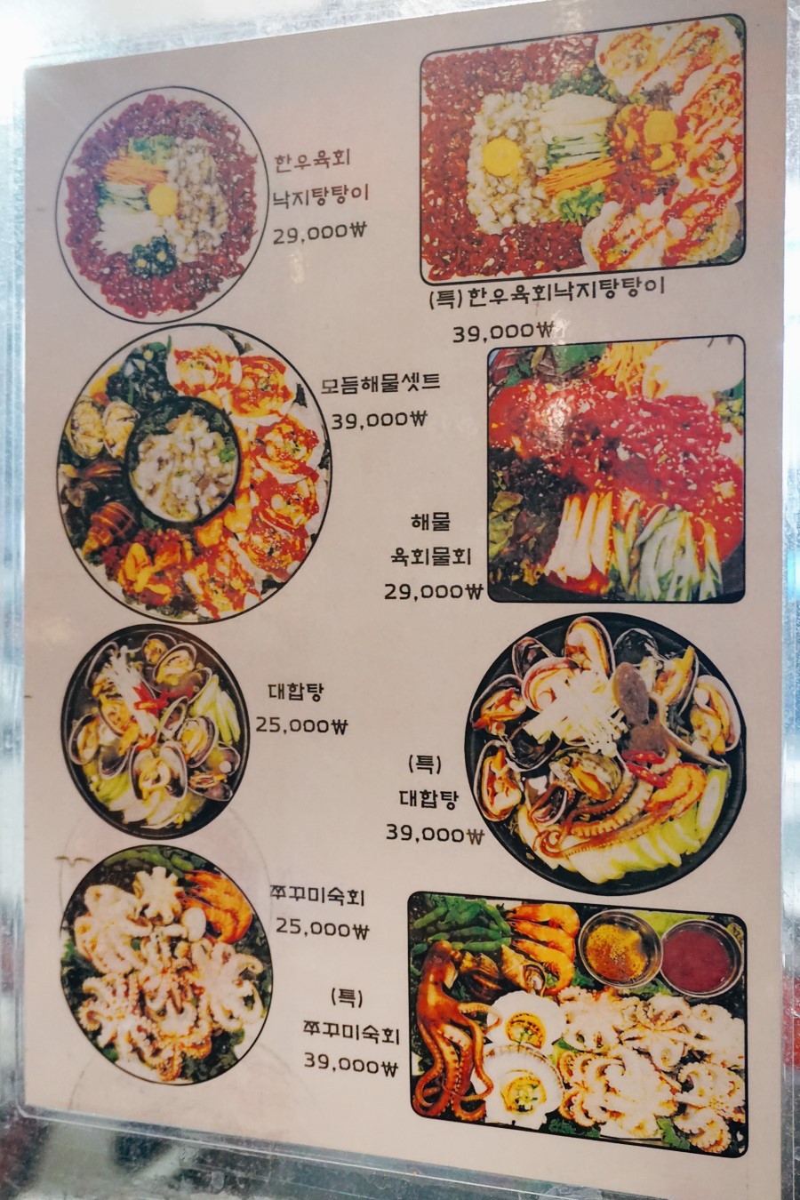 왕마포갈매기 이미지