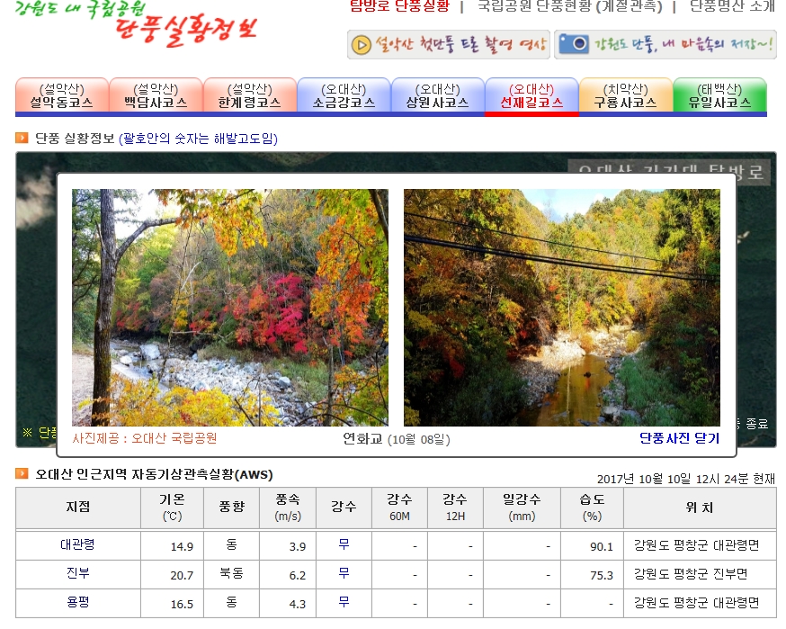 금빛민박 이미지