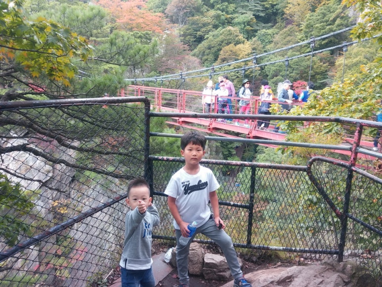 수룡캠핑장 이미지