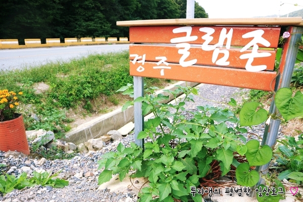 경주글램존 이미지