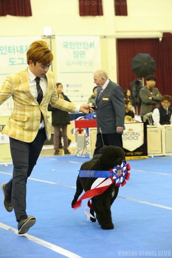 제디 이미지