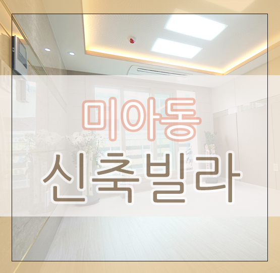 롯데미아시스템 이미지