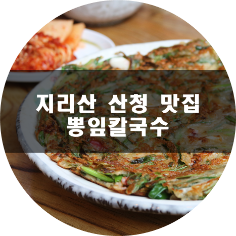 산청뽕잎해물칼국수 이미지
