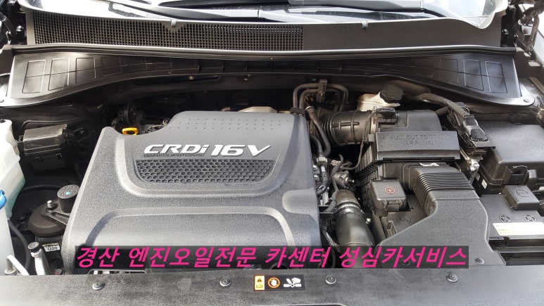 성심카 이미지