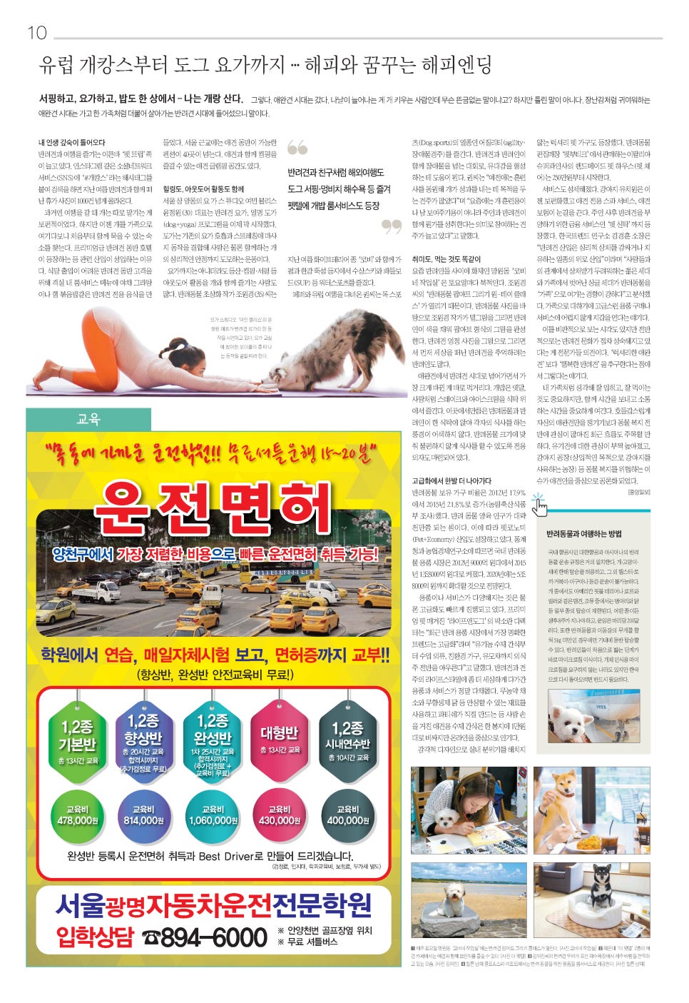 쉐보레 속초 대리점 이미지