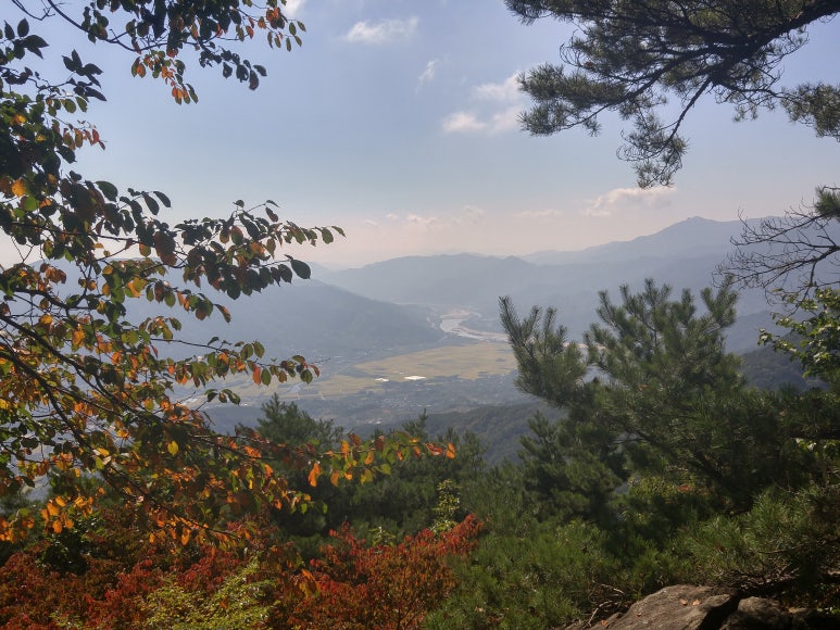 청학탕 이미지