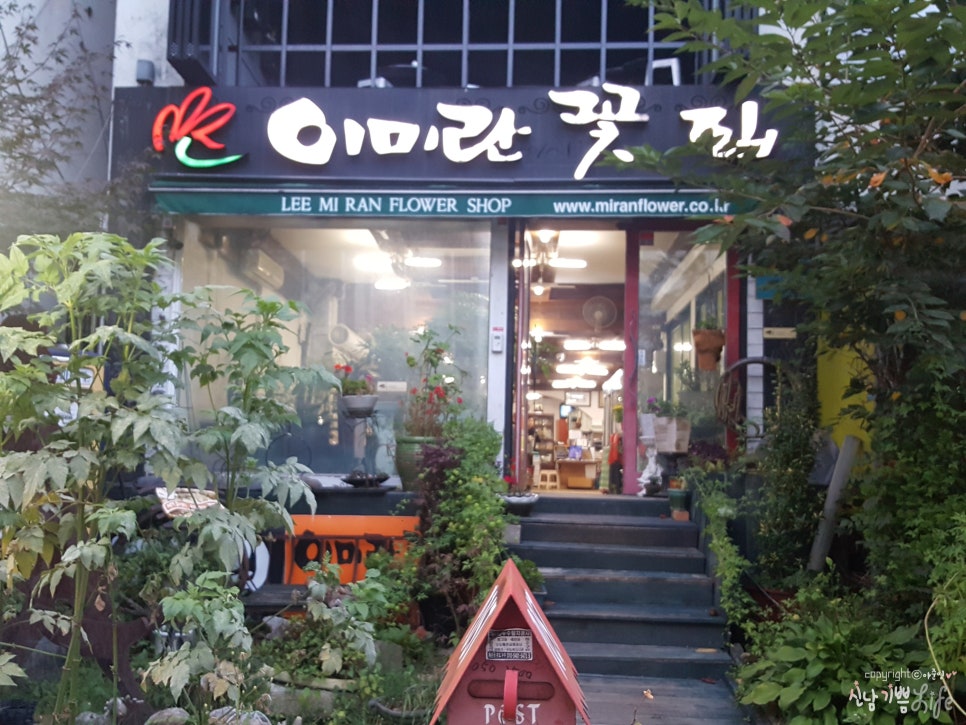 이미란꽃집 이미지