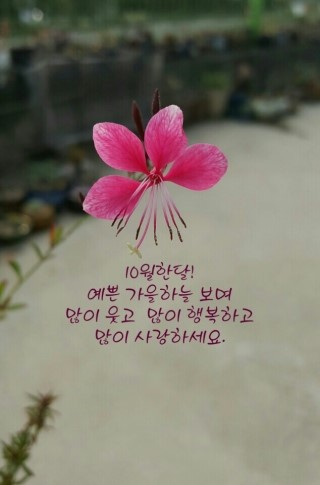 자드락 이미지