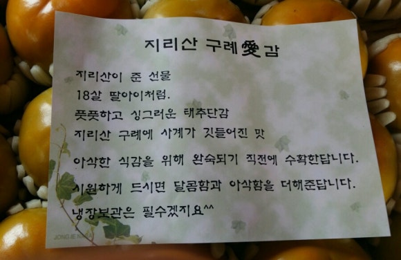 구례애 이미지