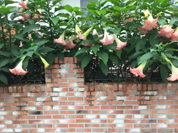 돈나라목뼈감자탕 이미지