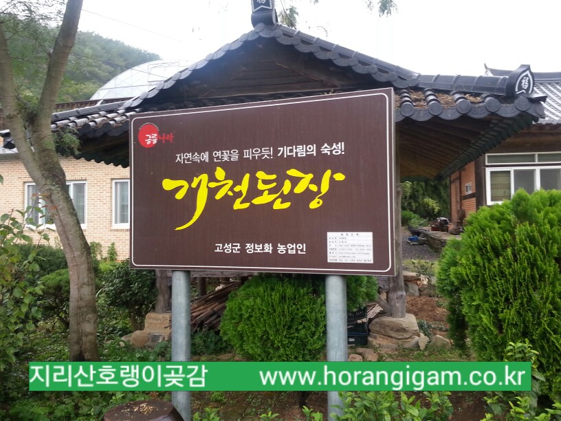 개천된장 이미지