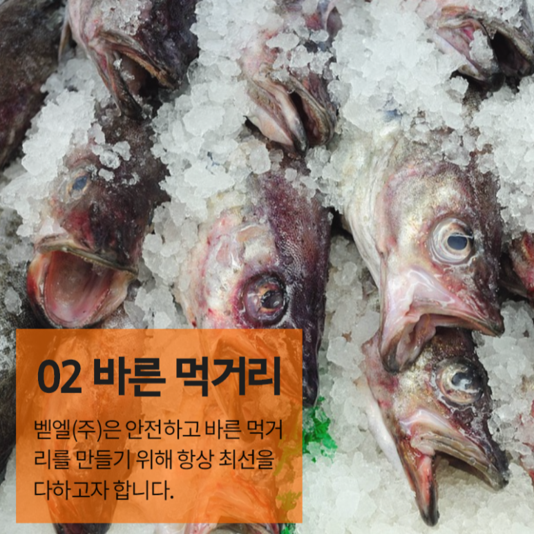 벧엘냉동 이미지