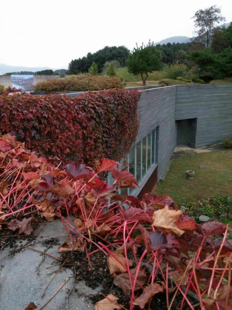 약수골캠프촌 숲속캠핑장 이미지