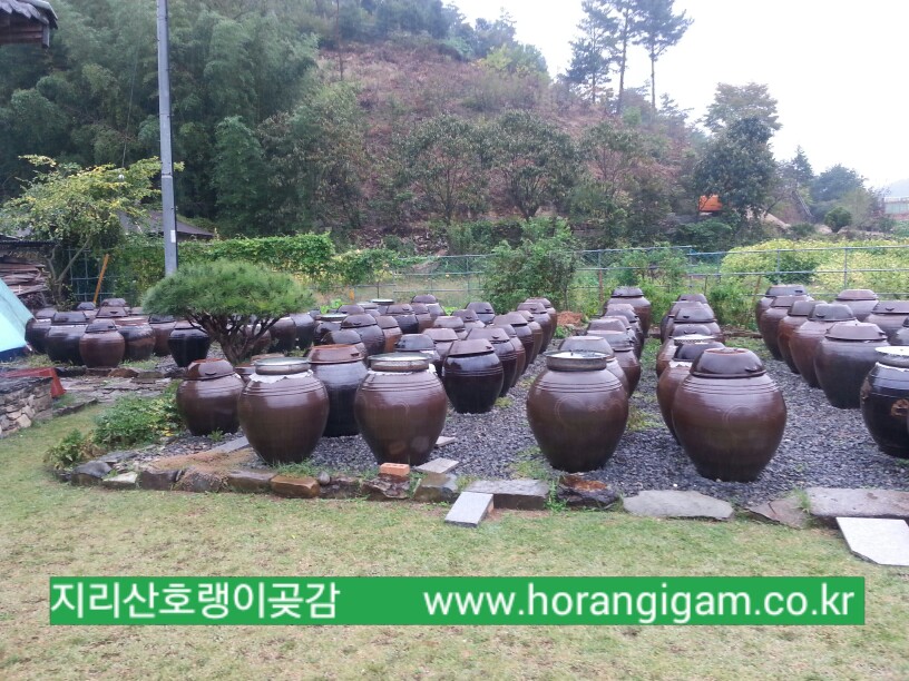개천된장 이미지