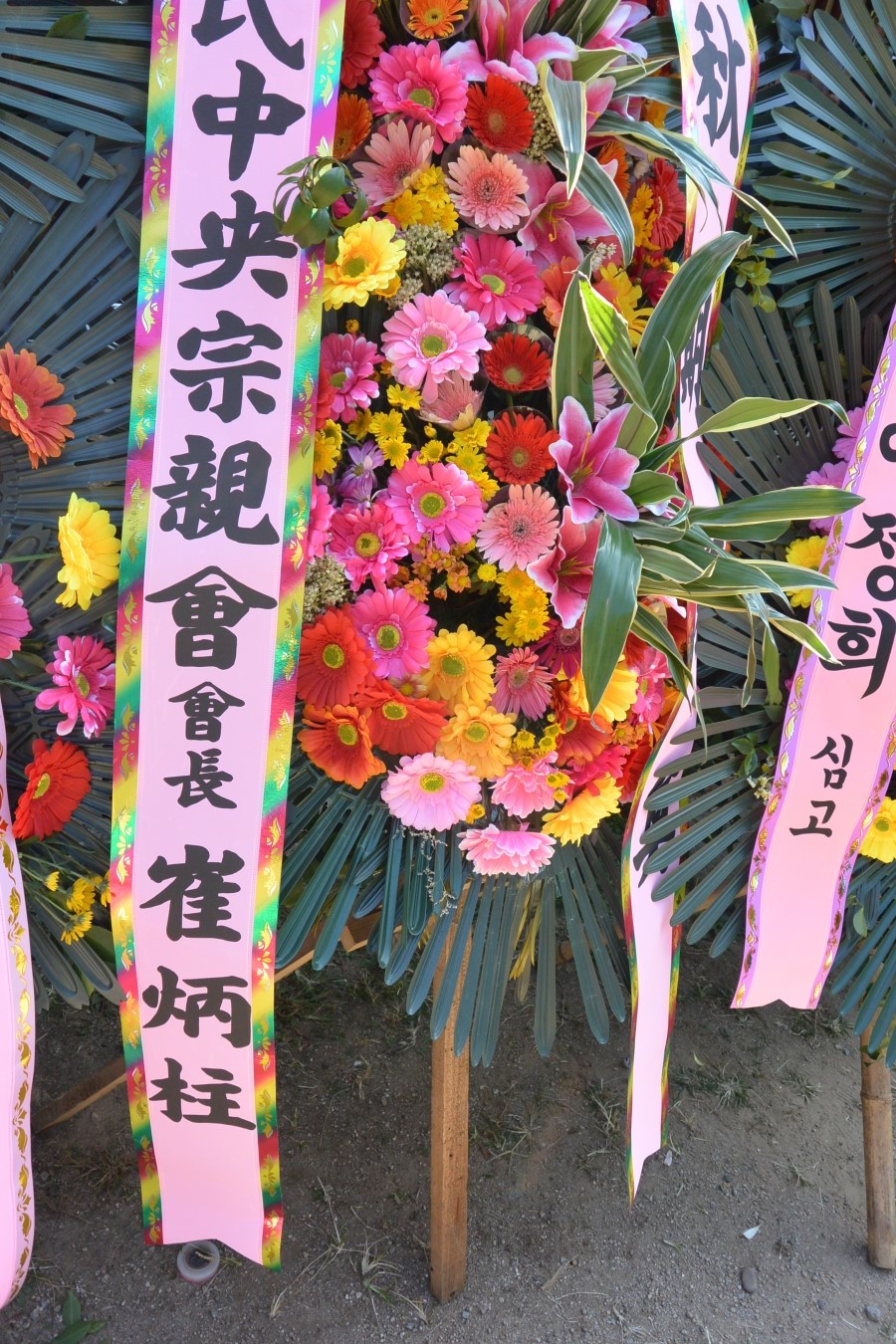 석전수석 이미지
