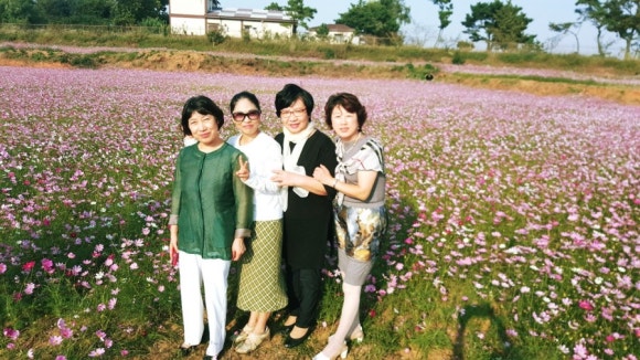 성도화원 이미지
