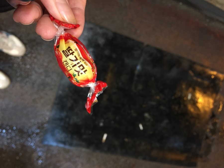 코끼리노래주점 이미지