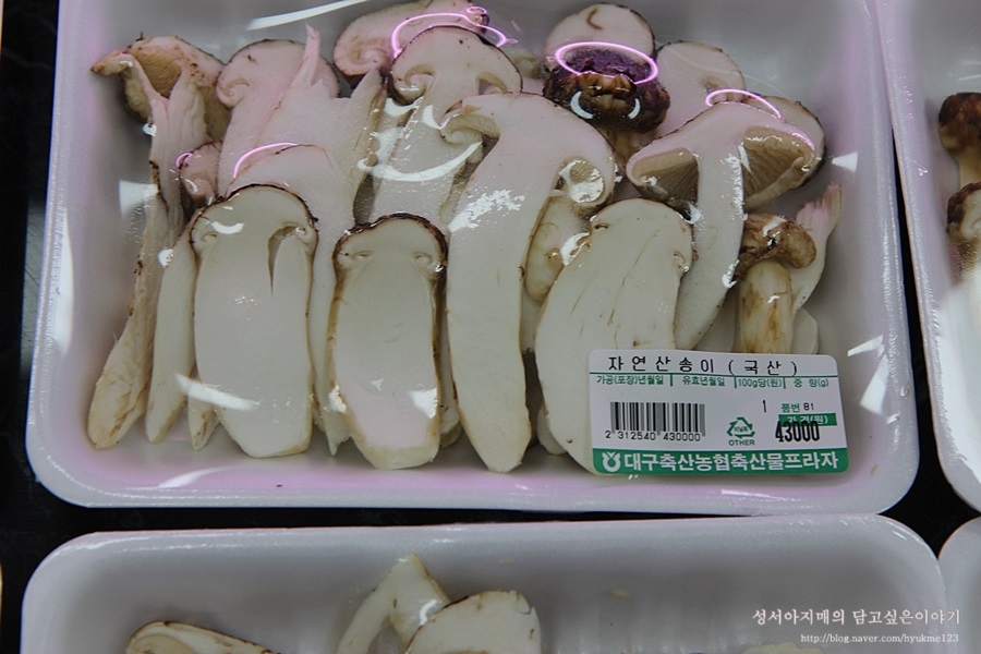 송이축산물프라자 이미지