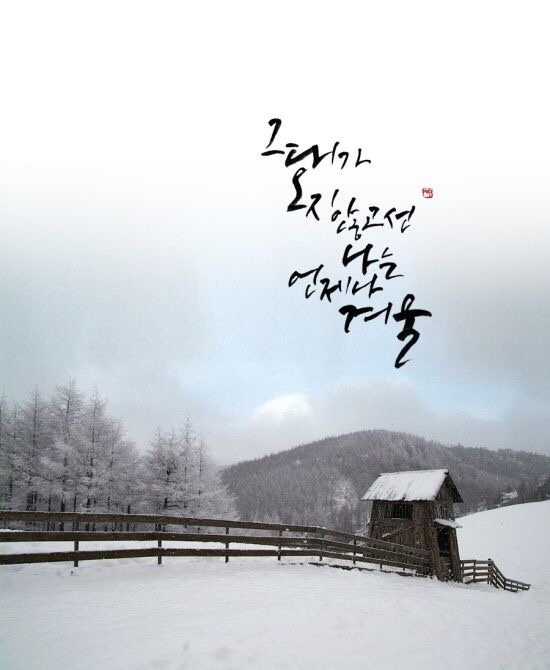 캘리 이미지