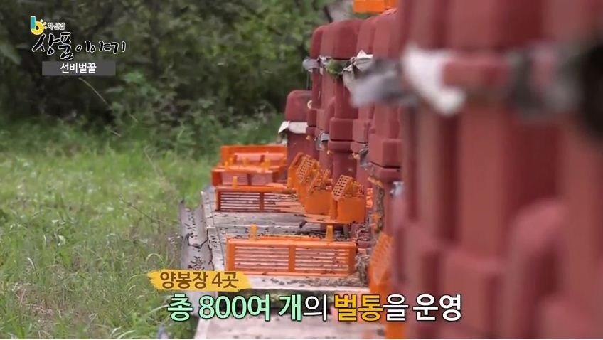 선비벌꿀영농조합법인 이미지