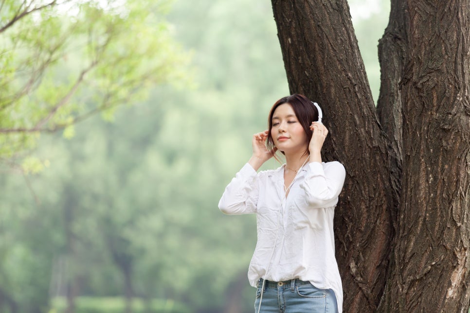 하얀세탁 이미지